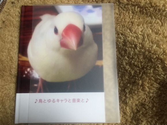 �}�C�u�b�N���C�t�@�V�[���X�^���h